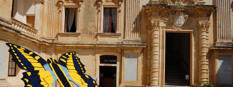 Cosa Vedere a Malta - Museo di Storia Naturale a Mdina